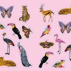 Illustration: Verschiedene bunte Tiere wie Vögel, Schmetterlinge, Tiger und Antilopen, vor rosa Hintergrund.