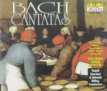 Johann Sebastian Bach (1685-1750): Kantate BWV 80,202,203,204,209,211,212, 3 CDs