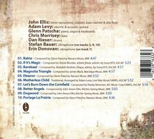 John Ellis, Adam Levy &amp; Glenn Patscha: Say It Quiet, CD