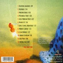 Steve Morse: Split Decision, CD