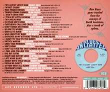 Bluesin' By The Bayou: I'm Not Jiving, CD