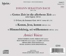 Johann Sebastian Bach (1685-1750): Kantaten BWV 106 &amp; 182, CD