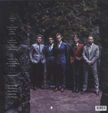Punch Brothers: The Phosphorescent Blues (140g), 2 LPs