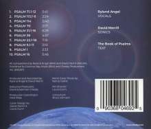 Ryland Angel &amp; David Merrill: Chant Electronique, CD