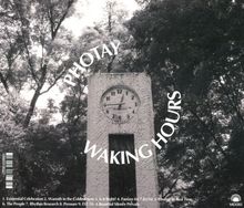 Photay &amp; Carlos Nino: Waking Hours, CD
