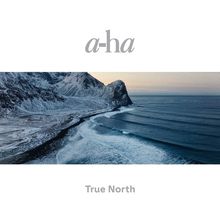 a-ha: True North (180g) (Limited Deluxe Edition) (Recycled Black Vinyl), 2 LPs und 1 CD