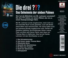 "Die drei ??? Das Geheimnis der sieben Palmen" und eine kurze Inhaltsbeschreibung mit einer Kapitelübersicht.