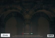 "0713" steht auf einem weißen Feld. Darunter befinden sich die Logos von "SONY MUSIC" und "HANSA". Dunkle Bögen im Hintergrund.