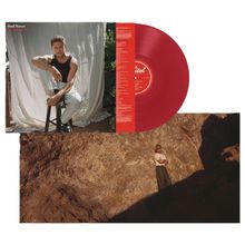 Text: "Niall Horan Dinner Party". Rotes Vinyl. Person sitzt auf Hocker, weißer Hintergrund. Weitere Person vor Felsen.
