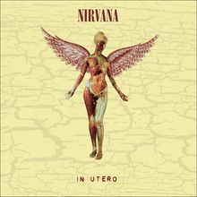 Nirvana: In Utero (30th Anniversary) (remastered) (180g) (Super Deluxe Edition), 8 LPs