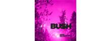 Bush: Loaded: The Greatest Hits 1994 - 2023, 2 CDs