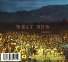Brittany Howard: What Now, CD
