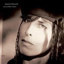 Annette Peacock: An Acrobat's Heart (Luminessence Series), 2 LPs