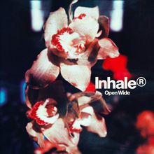 Inhaler: Open Wide, LP