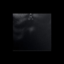 Dunkles Bild mit einem zentralen Muster aus kleinen, weißen Blätteransammlungen.