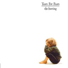 Tears For Fears: The Hurting (Half-Speed Mastering) (Limited Edition), LP