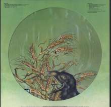 Grateful Dead: Wake Of The Flood (50th Anniversary) (remastered) (Limited Edition) (Picture Disc), LP
