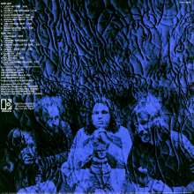 The Doors: 13 (50th Anniversary Edition) (remastered) (180g), LP