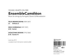Ensemble Cameleon, CD