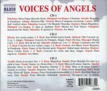 Giovanni Pierluigi da Palestrina (1525-1594): Voices of Angels, 3 CDs