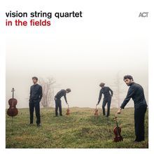 "vision string quartet in the fields" steht oben. Vier Männer in dunkler Kleidung stehen mit Streichinstrumenten auf einer Wiese.