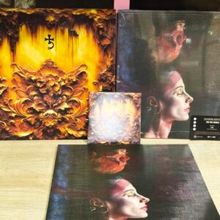 Rückansicht vergrößern