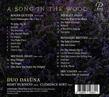 A Song in the Wood (Deluxe-Edition im Hardcover), CD