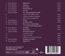 Tenebrae - Motetten von Bruckner &amp; Brahms, CD