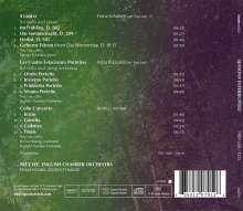 Trey Lee - Seasons Interrupted, CD
