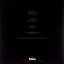 Steve Hillage: The Golden Vibe, 2 LPs