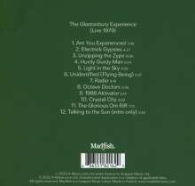 Steve Hillage: The Glastonbury Experience: Live 1979, CD