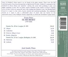 Franz Schubert (1797-1828): Klaviersonaten D.840 &amp; D.959, CD