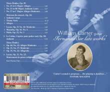 Fernando Sor (1778-1839): Gitarrenwerke II - Späte Gitarrenwerke, Super Audio CD