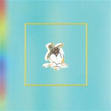 Ein stilisiertes Schildkröten-Logo auf blauem Hintergrund mit Regenbogeneffekt am Rand.