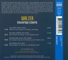 Klavierduo Eckerle - Walzer, CD