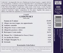 Leopold Godowsky (1870-1938): Klavierwerke Vol.5, CD