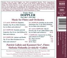 Franz Doppler (1821-1883): Konzert für 2 Flöten &amp; Orchester d-moll, CD