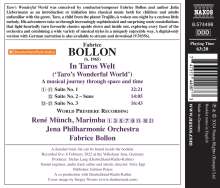 Fabrice Bollon (geb. 1965): In Taros Welt für Marimba &amp; Orchester (Eine musikalische Reise durch Raum und Zeit), CD