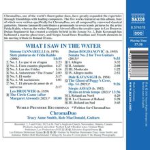 ChromaDuo - What I Saw In The Water, CD