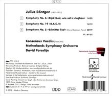 Julius Röntgen (1855-1932): Symphonien Nr.5,6,19, CD