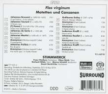 Geistliche Musik des Spätmittelalters "Flos Virginum", Super Audio CD
