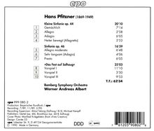 Hans Pfitzner (1869-1949): Orchesterwerke Vol.2, CD