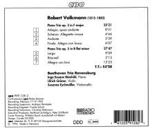 Robert Volkmann (1815-1883): Klaviertrios op.3 &amp; op.5, CD