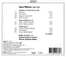 Hans Pfitzner (1869-1949): Orchesterwerke Vol.3, CD