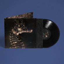 Vinylplatte mit einem Cover. Das Cover zeigt ein detailreiches Seepferdchen in dunklen Tönen.