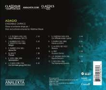 Adagio - A Consideration of a Serious Matter, CD