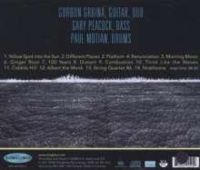 Gordon Grdina, Gary Peacock &amp; Paul Motian: Think Like The Waves, Super Audio CD