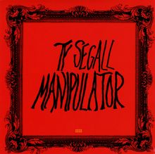 Ty Segall: Manipulator, CD