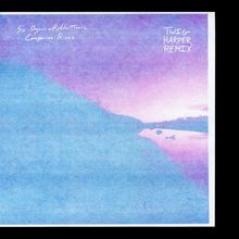 Six Organs Of Admittance: Companion Rises (Twig Harper Remix), LP