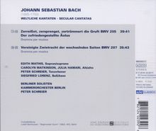 Rückansicht vergrößern